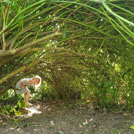 Cosy Er Lann Gite Sequoia Val-Couesnon Ngoại thất bức ảnh